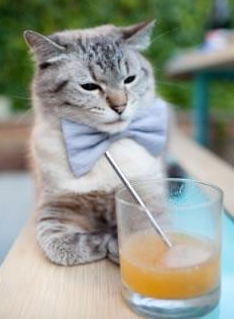 勇士与亚马逊云合作上线“智慧球馆管理系统”