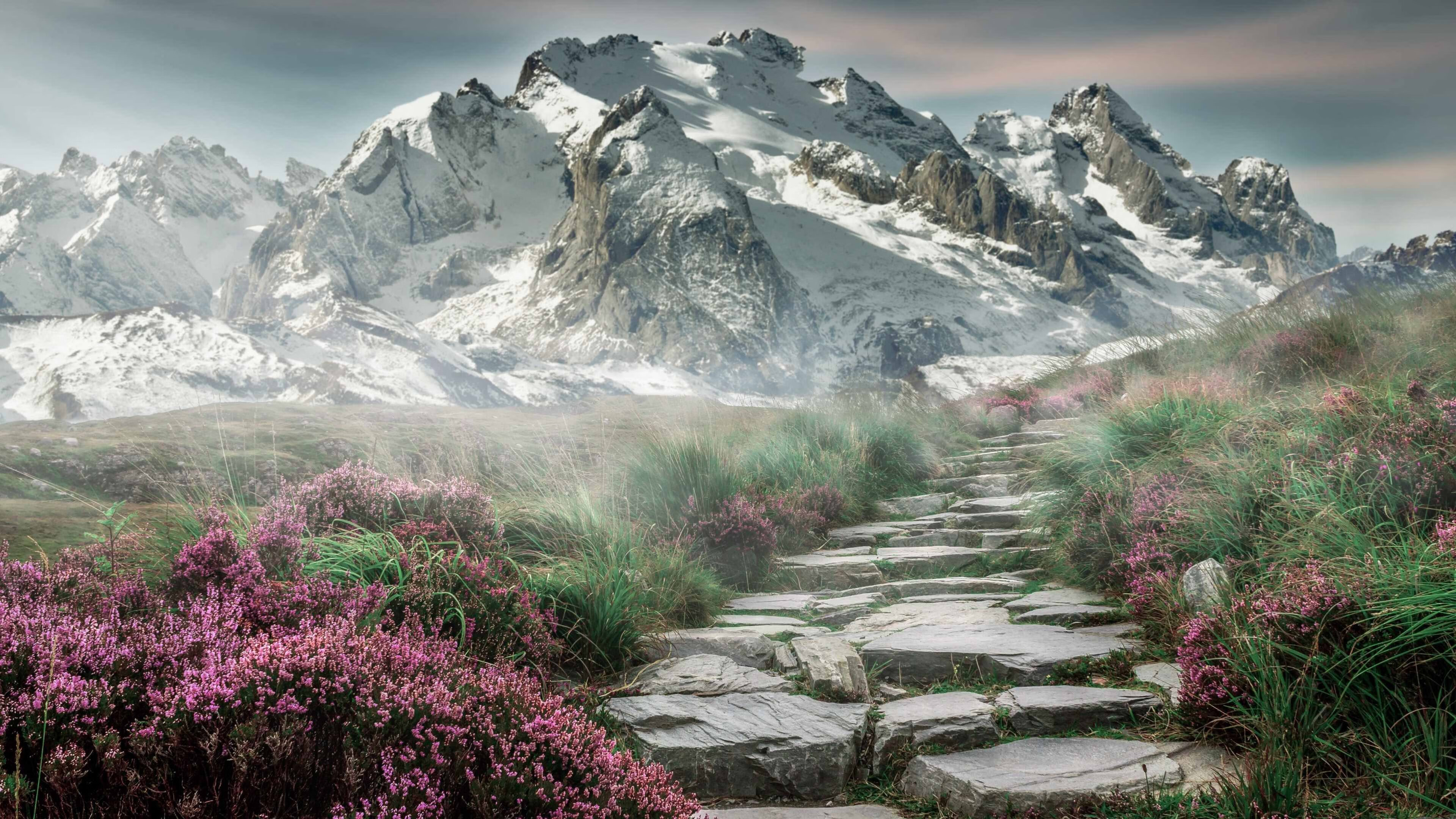 爱游戏电竞-传奇教练的“战术秘籍”：夺冠背后的大谋略，传奇教练系统