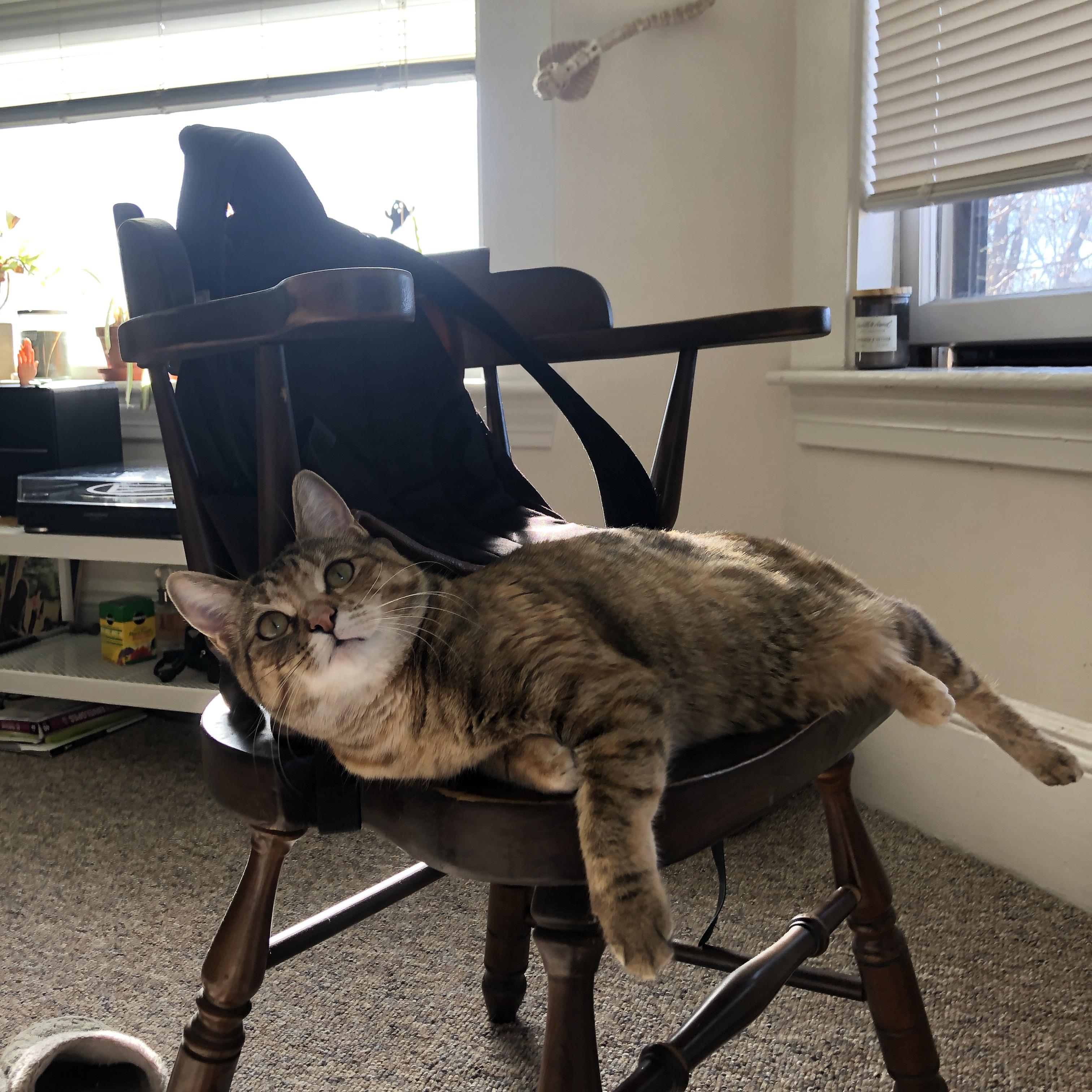 勇士连续两场爆发！，勇士两连胜