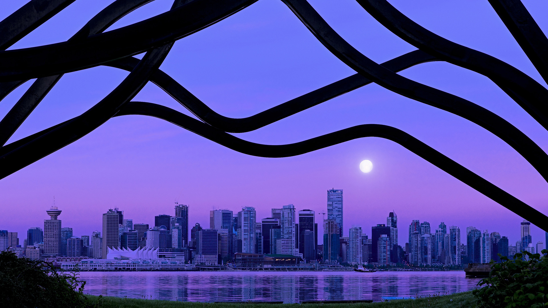 日本马术协会推出青少年马术培训计划，培养未来骑手。，日本马术金牌